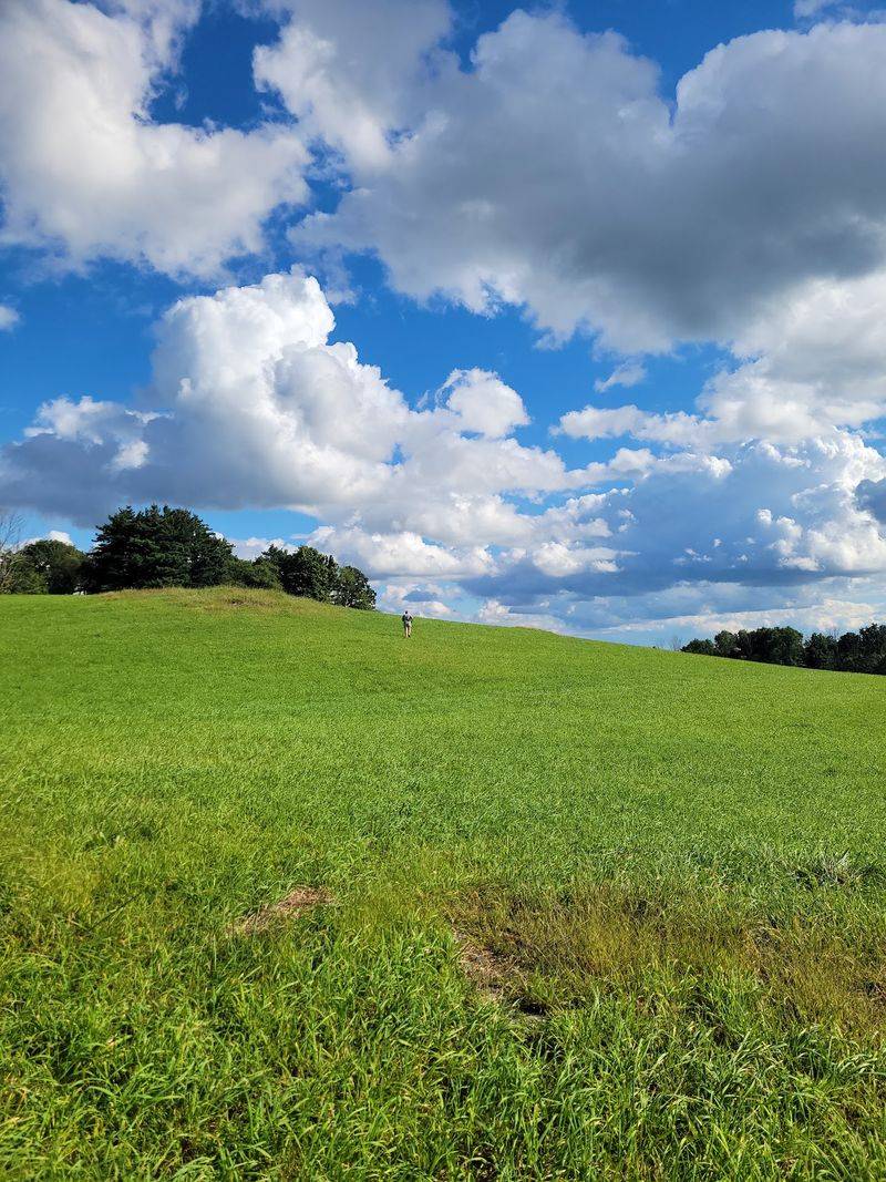 Trails Through Fields, Woods, and Old Pastures