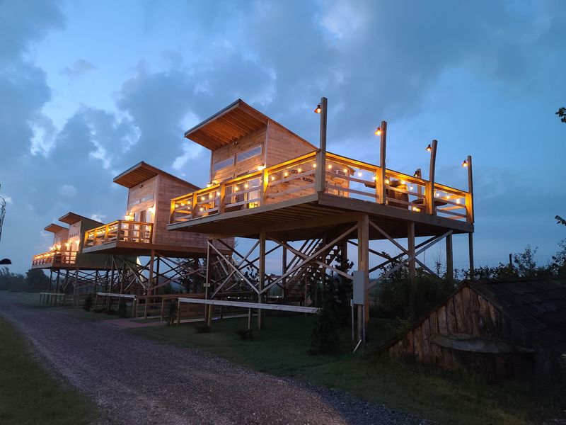 Treehouses, Huts, and African Manors in Tuttle Treehouses, Huts, and African Manors in Tuttle