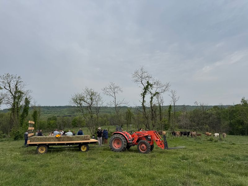 Triple E Farms LLC Triple E Farms LLC