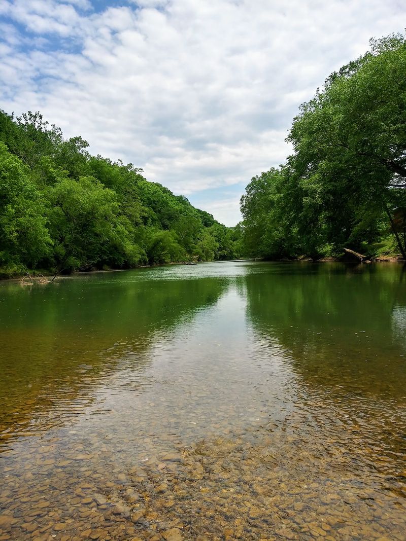 Trout, Musky and the Elk River Water Trail