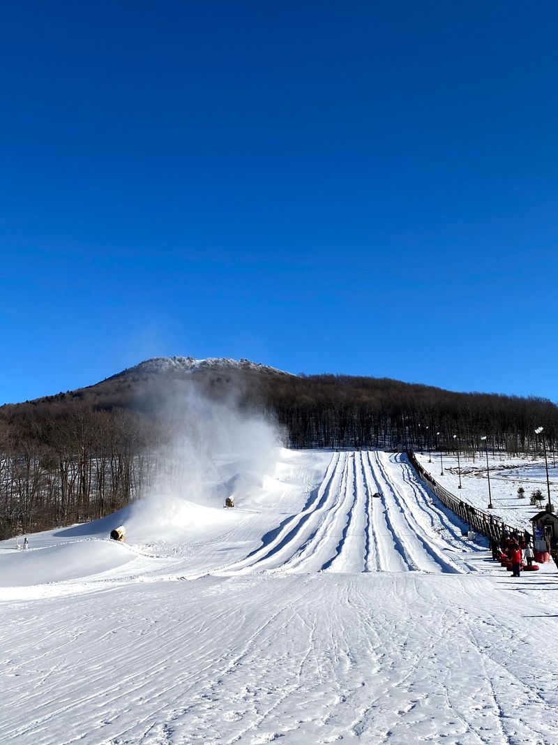 Tubing Lanes And Trails For Every Kind Of Winter Kid