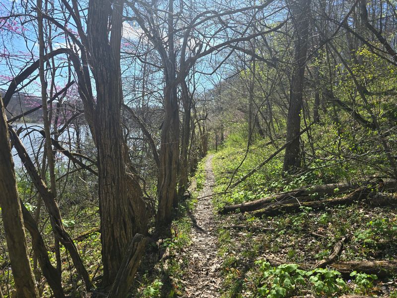 Twenty-Some Miles Around the Shoreline