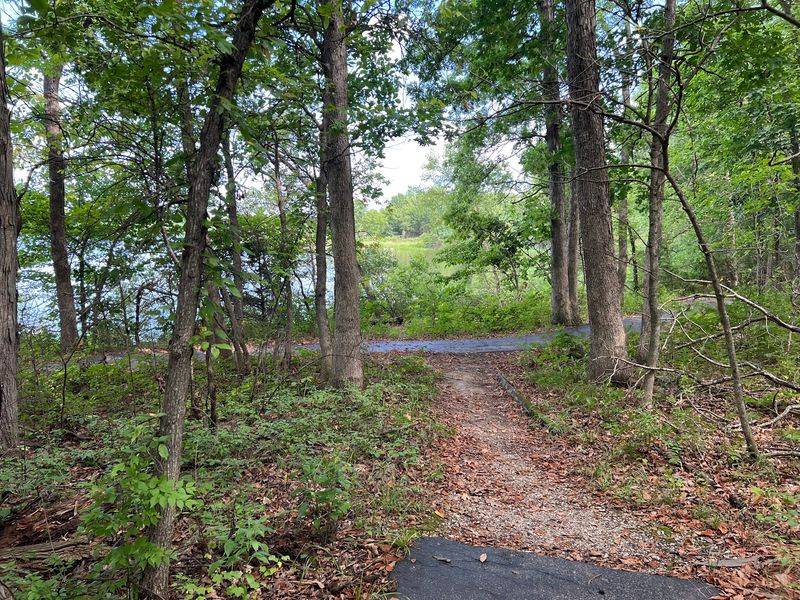 Twenty-Two Footbridges Await On The Shoreline Trail Twenty-Two Footbridges Await On The Shoreline Trail
