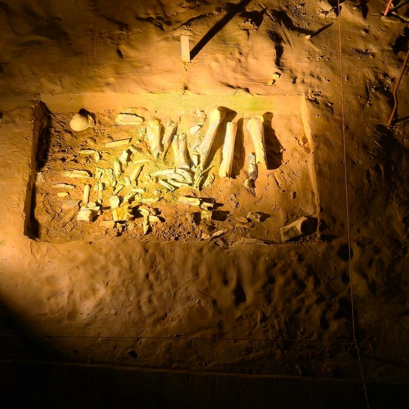 Two Cavers Stumbled Onto A Mountain Made Of Bones