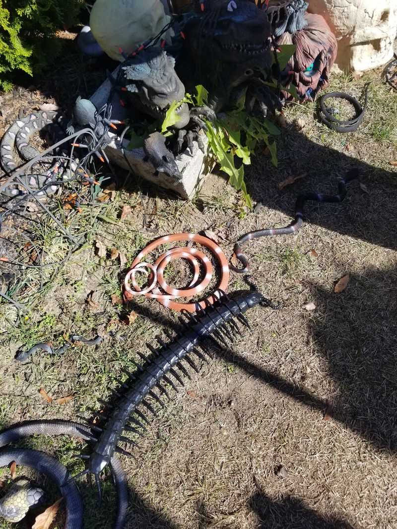 Two Heads Are Better Than One, According To This Snake