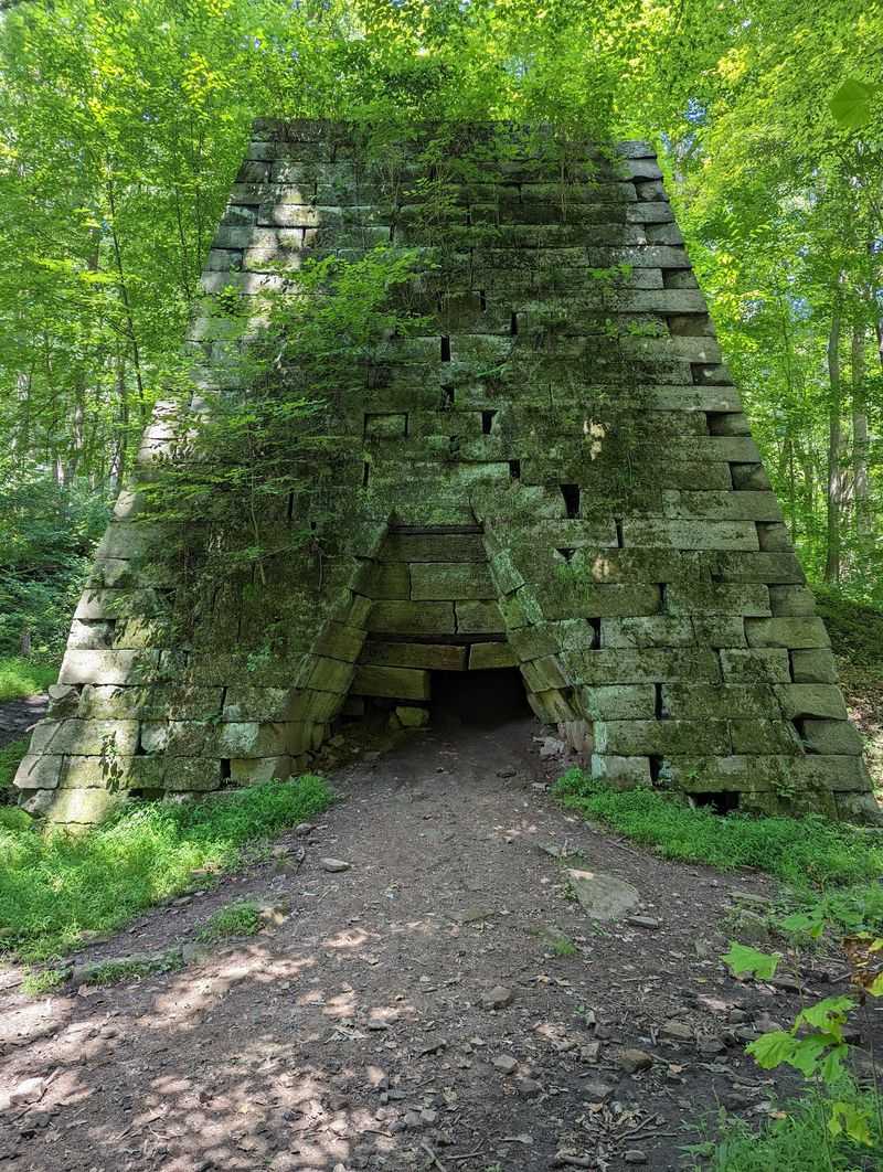 Two Hundred Workers And A Whole Village In The Woods