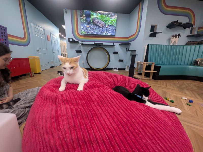 Two Rooms Full of Personality