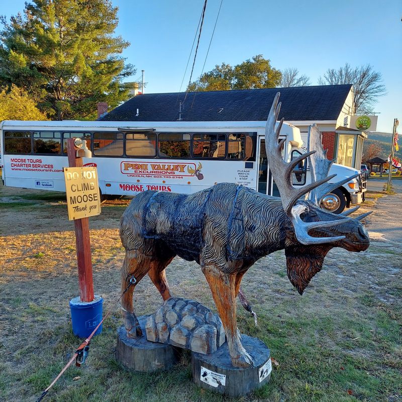 Two Sets Of Eyes Make The Moose Hunt A Lot Smarter Two Sets Of Eyes Make The Moose Hunt A Lot Smarter