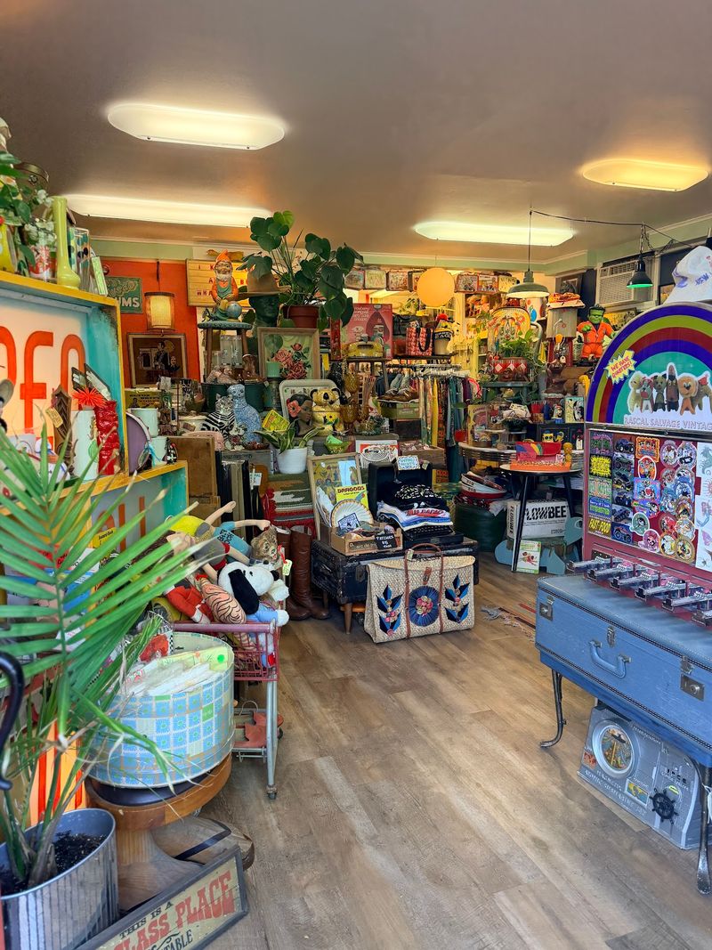Two Thrift-Loving Daters Built All Of This