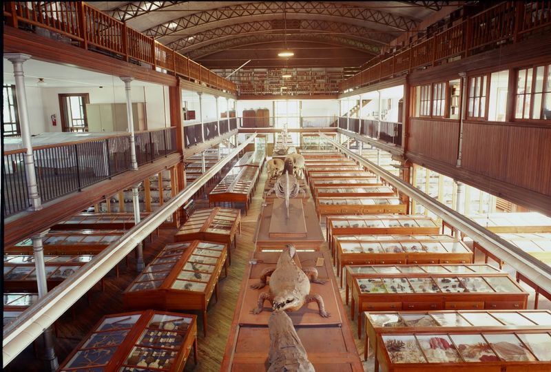 Upstairs Into the 1890s