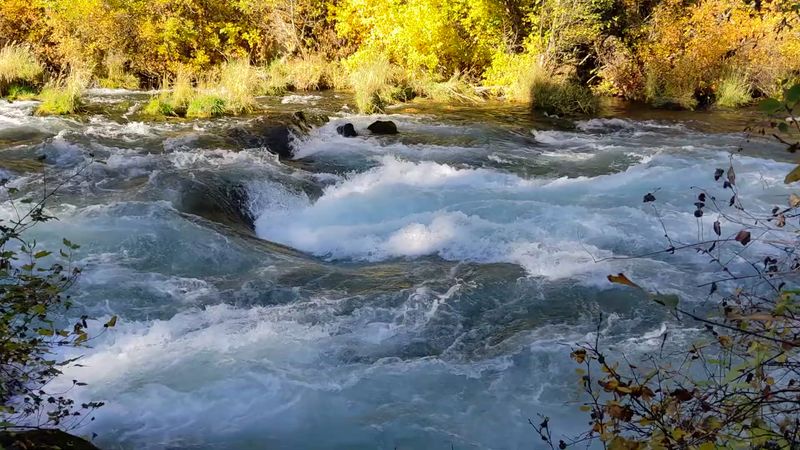 Metolius River Trail, Camp Sherman, OR Metolius River Trail, Camp Sherman, OR