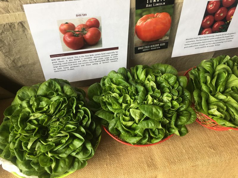 Vegetables That Did Not Travel Very Far