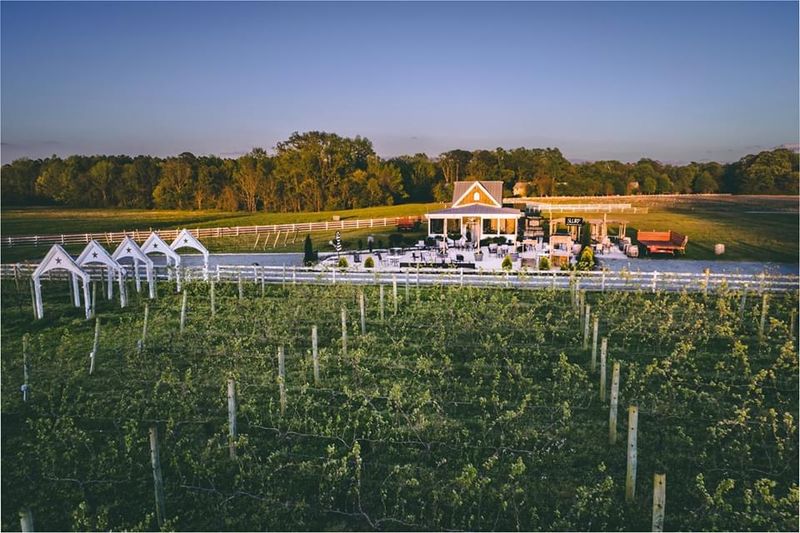 Vines, Oysters and Your Next Escape