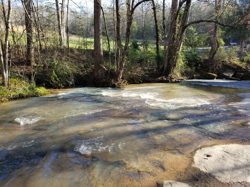 Wading Into Beaverdam Creek Wading Into Beaverdam Creek