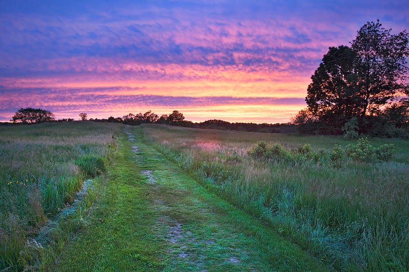 Wagon Hill Farm, Durham, NH Wagon Hill Farm, Durham, NH