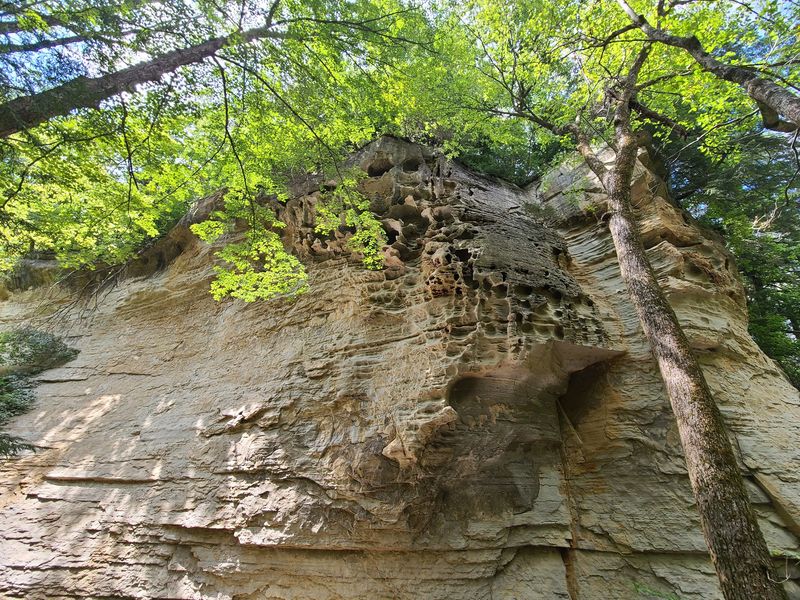 Walk The Ridge Called The Devil's Backbone