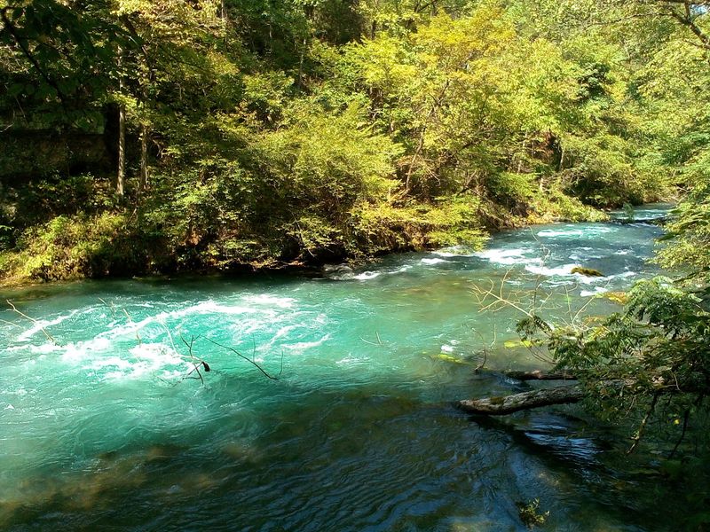 Watch This Branch Double An Entire River