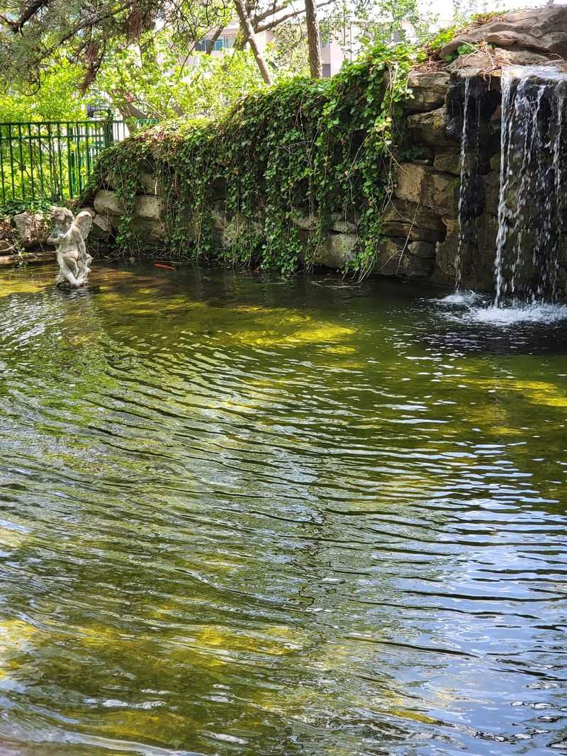 Where The Waterfall Steals The Show