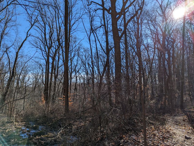 Where the Spruce Run Begins Its Journey