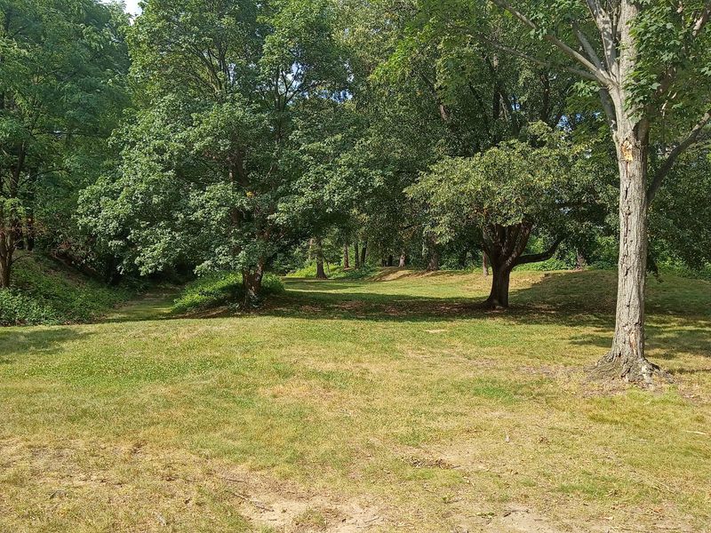 Where the Stage Meets the Trees Where the Stage Meets the Trees