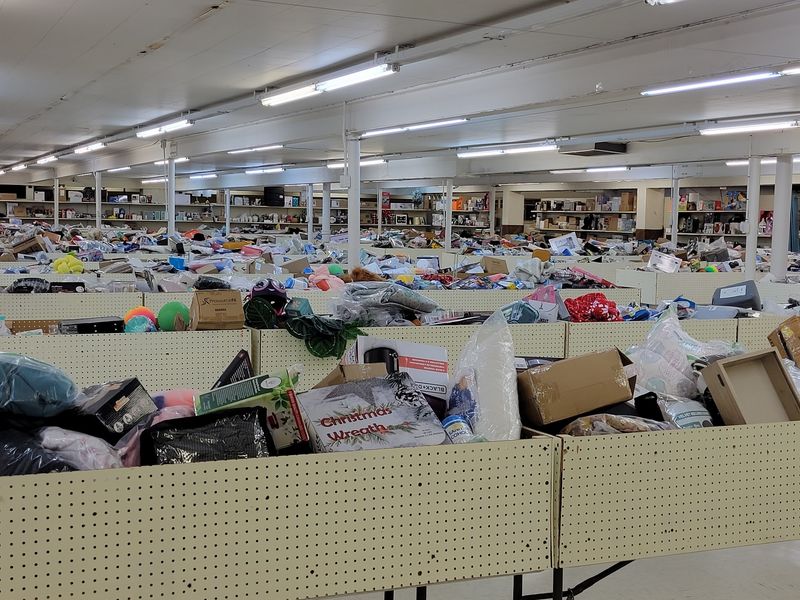 Why Bin Stores Feel Like A Treasure Hunt Why Bin Stores Feel Like A Treasure Hunt