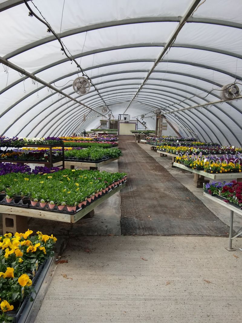 Why Plant Collectors Keep Talking About This Place