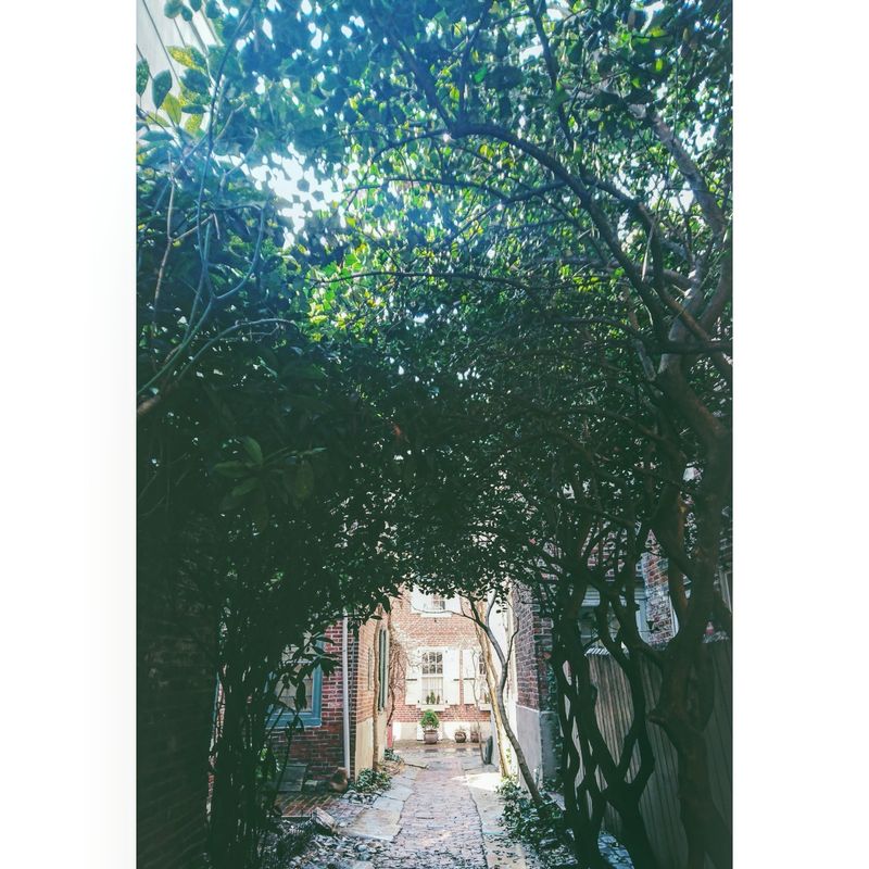 Why This Tiny Lane Deserves A Spot On Your List