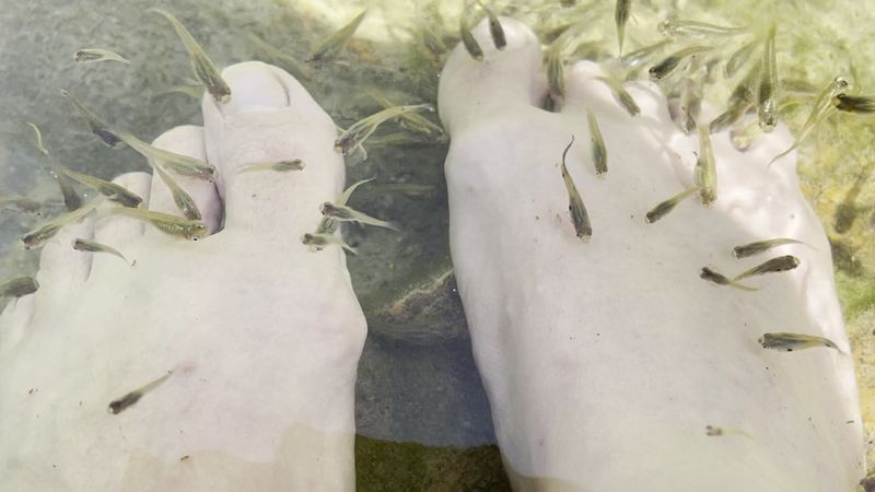 Why Wet Ankles Make the Best History Lesson Why Wet Ankles Make the Best History Lesson