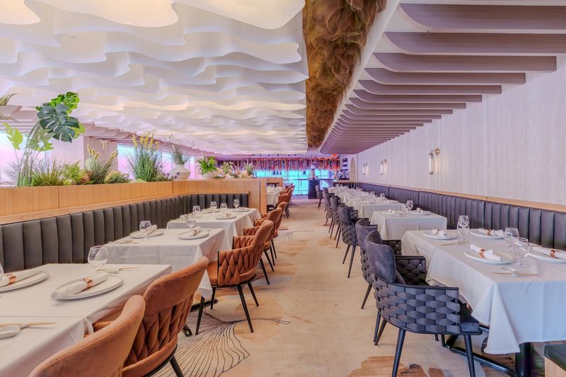 Why Your Next Feast Belongs in Tysons