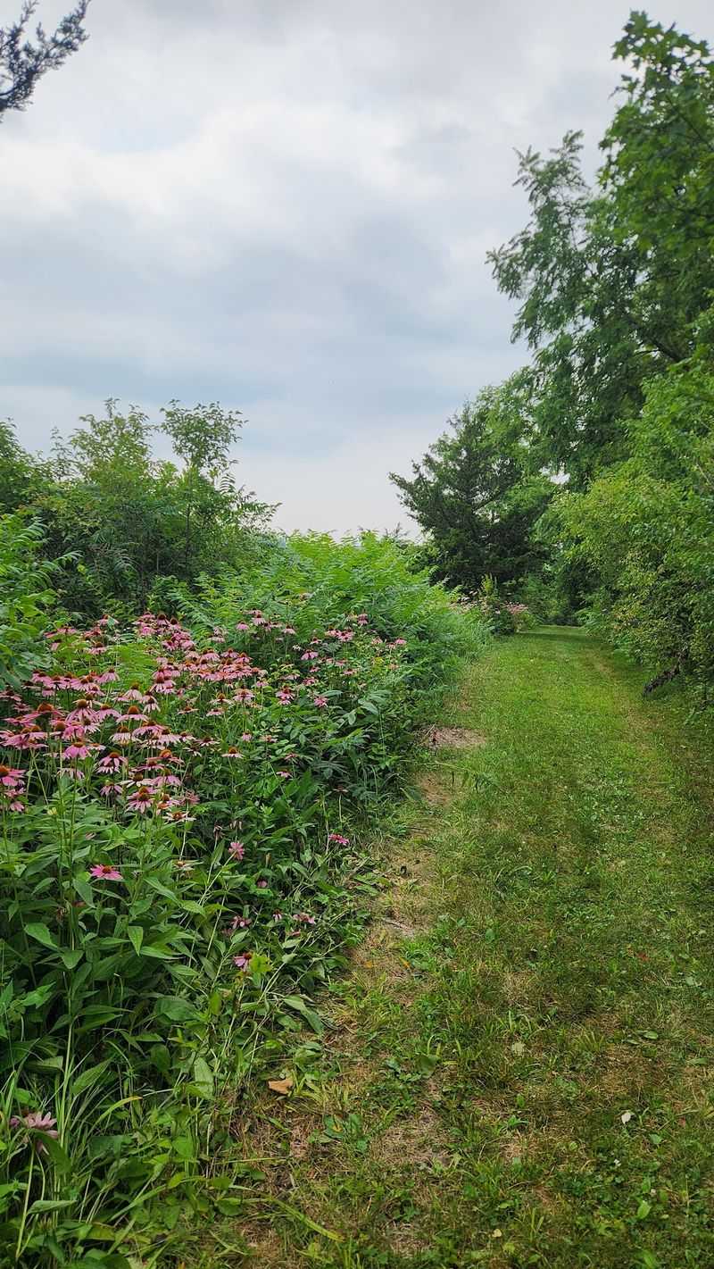 Wildflowers, Birdsong, and Green Walls