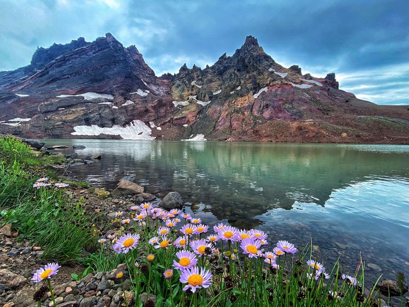 Wildflowers, Marmots, and Mountain Birds Wildflowers, Marmots, and Mountain Birds