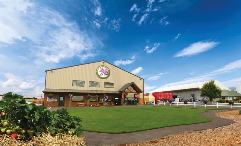 Willamette Valley Pie Co. Farm Retail Store, Salem Willamette Valley Pie Co. Farm Retail Store, Salem