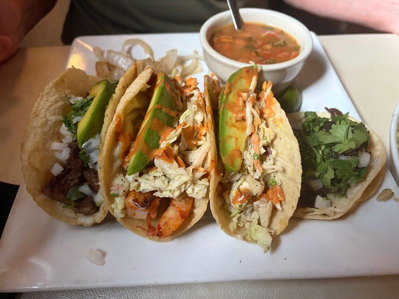 Winding Roads Through Grey Forest