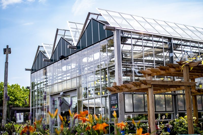 Workshops and Landscape Help for Big Dreams Workshops and Landscape Help for Big Dreams