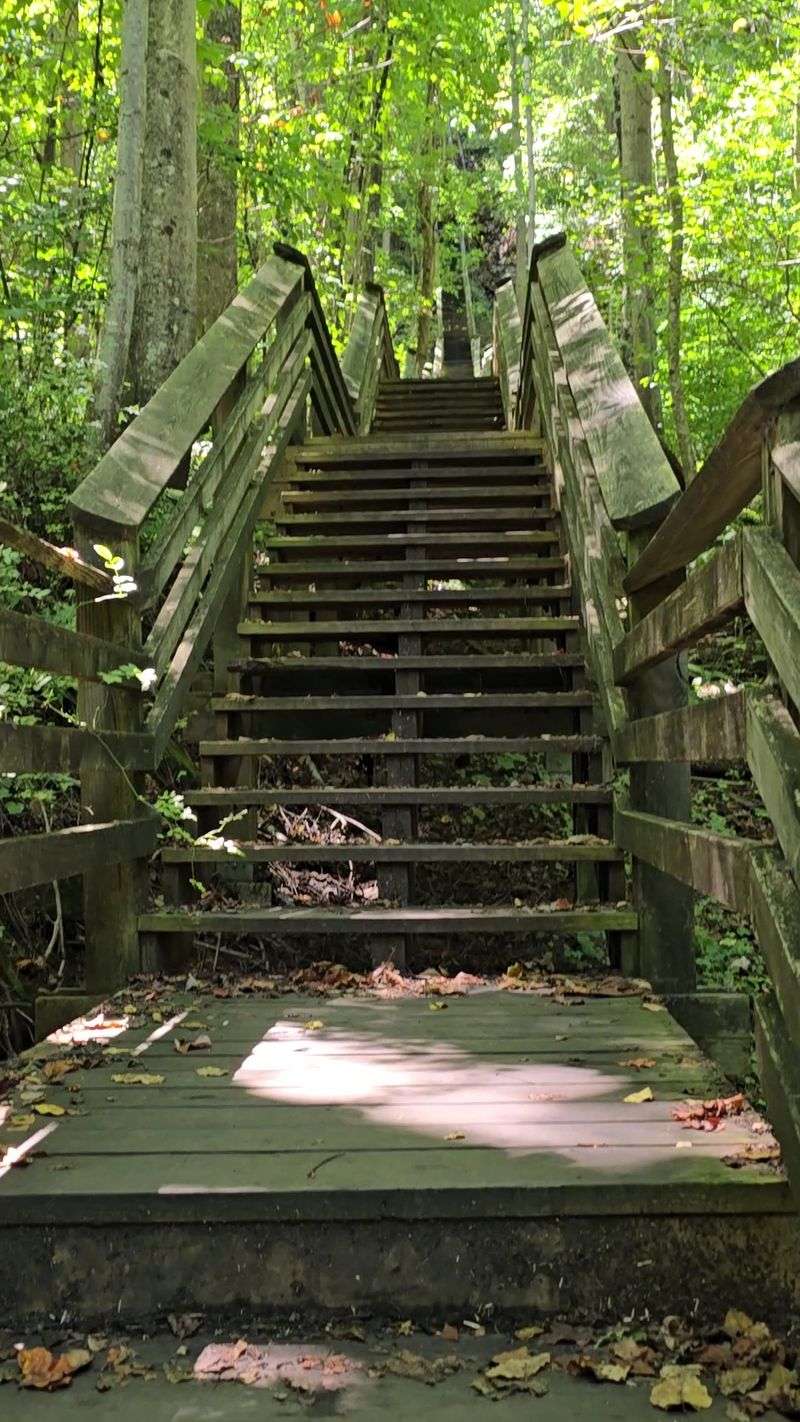 Worth Every Burning Step Back To The Top Worth Every Burning Step Back To The Top