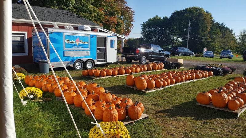 Yes, Pumpkins Really Do Fly Here Yes, Pumpkins Really Do Fly Here