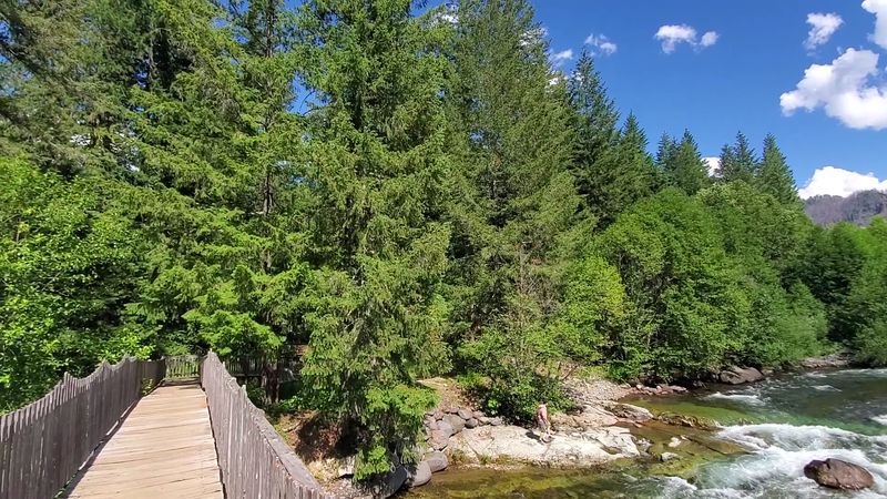 Yoga, Labyrinth Walks, and Forest Wandering Yoga, Labyrinth Walks, and Forest Wandering