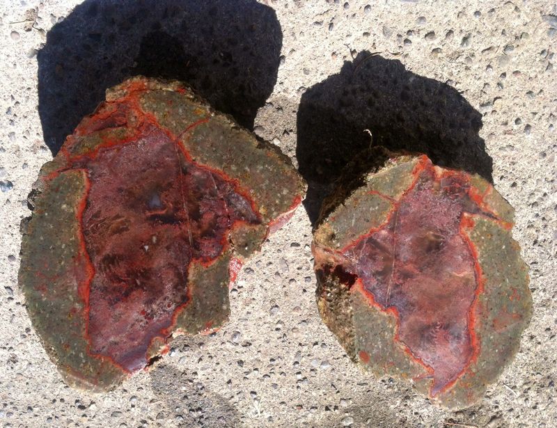 You Get To Crack Open Rocks That Have Waited Millions Of Years For You