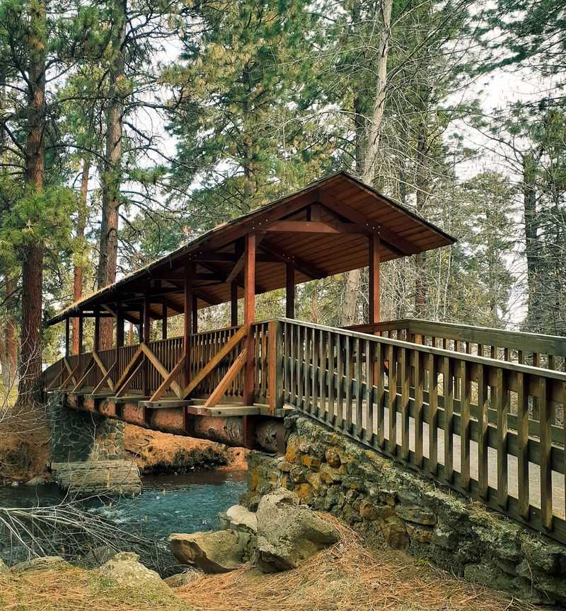 You'll Find It On A Pine-Ringed Campus Just Off Downtown