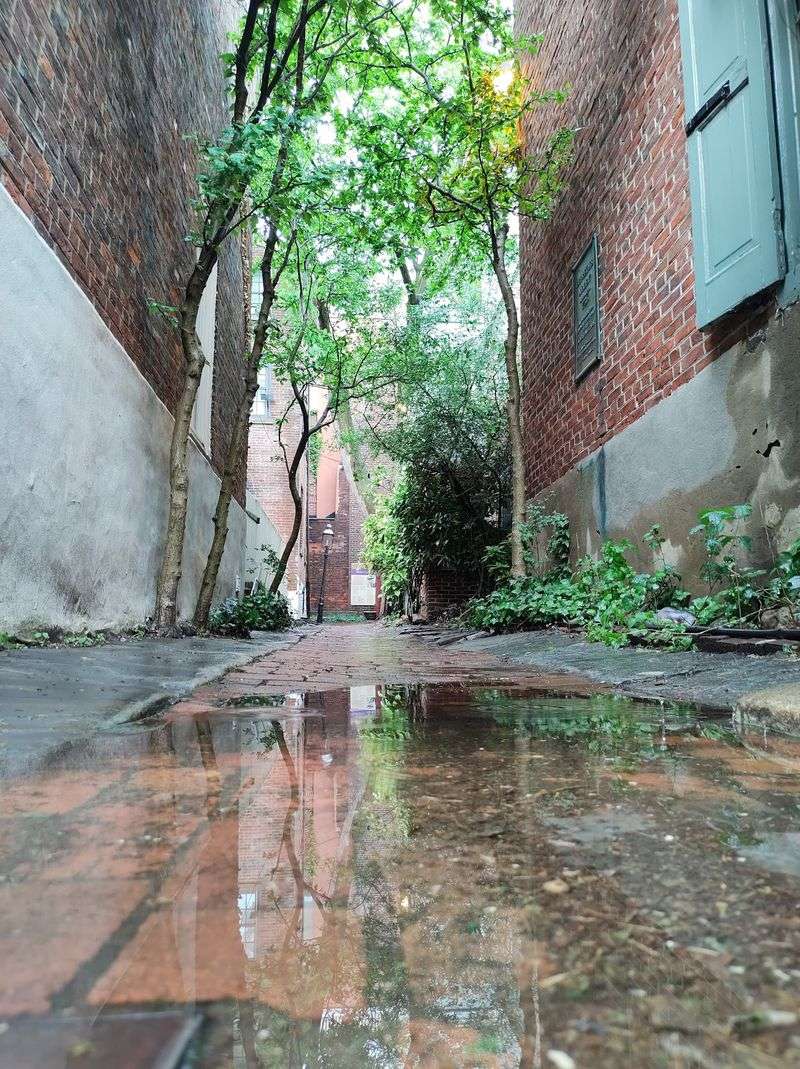 Your History Walk Does Not Have To End Here