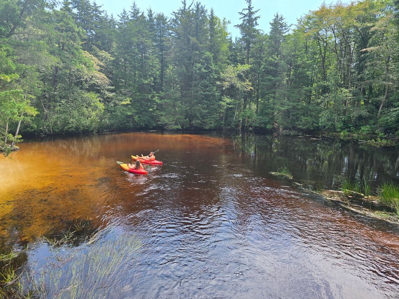 Your Kayak Has Been Waiting For Cedar Creek