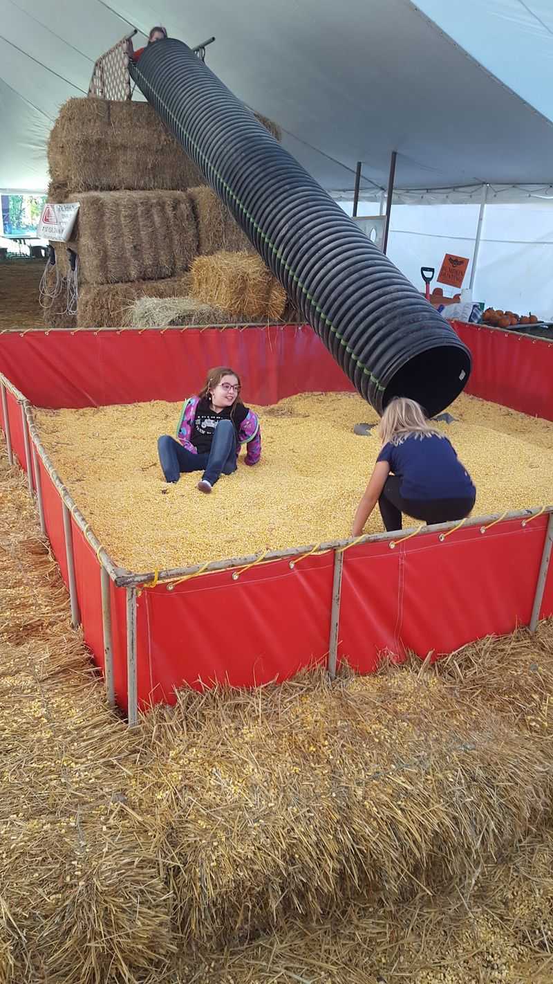 Your Kids Will Beg For One More Trip Down The Corn Slide Your Kids Will Beg For One More Trip Down The Corn Slide