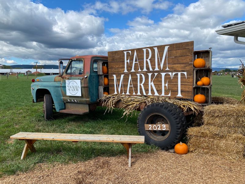 Your Perfect Pumpkin Is Waiting at the End of a Hayride Your Perfect Pumpkin Is Waiting at the End of a Hayride