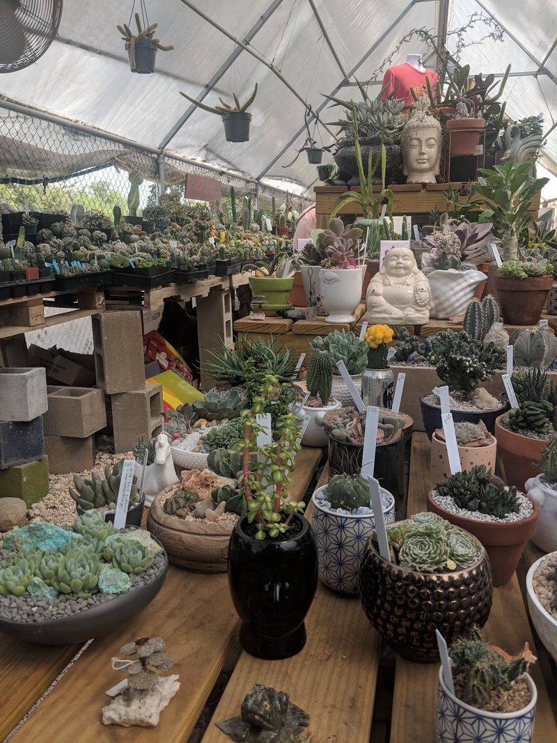 Your Plant Can Leave Looking Like A Tiny Masterpiece Your Plant Can Leave Looking Like A Tiny Masterpiece