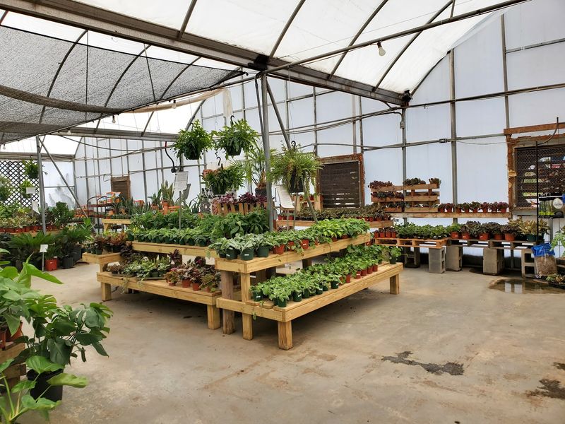 Your Plant Collection Was About To Get Much Bigger Your Plant Collection Was About To Get Much Bigger