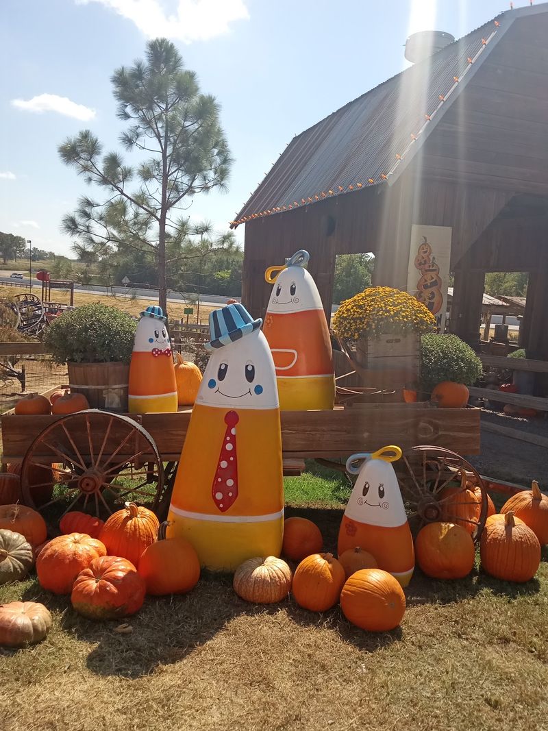 Your Pumpkin Hunt Gets A Texas-Sized Upgrade