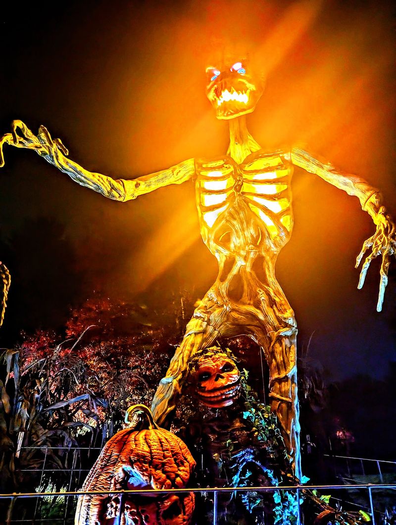 Your Scares Help Local Kids, Which Feels Pretty Great
