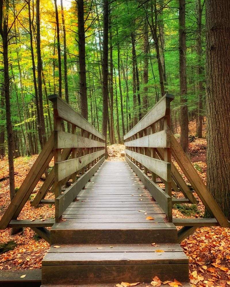 Your Ticket Across The Brook Is A Bridge With A View Your Ticket Across The Brook Is A Bridge With A View