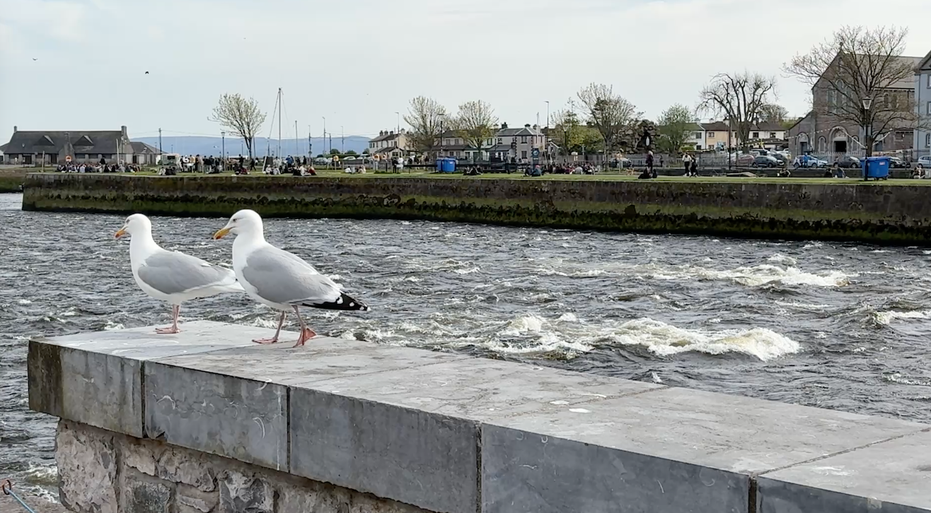 The River Corrib defines Galway and its neighborhoods.